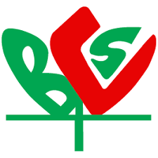 Best IT Consultant Award