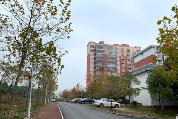 Accommodation