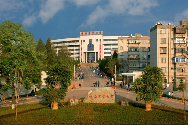 Why Study at YAU